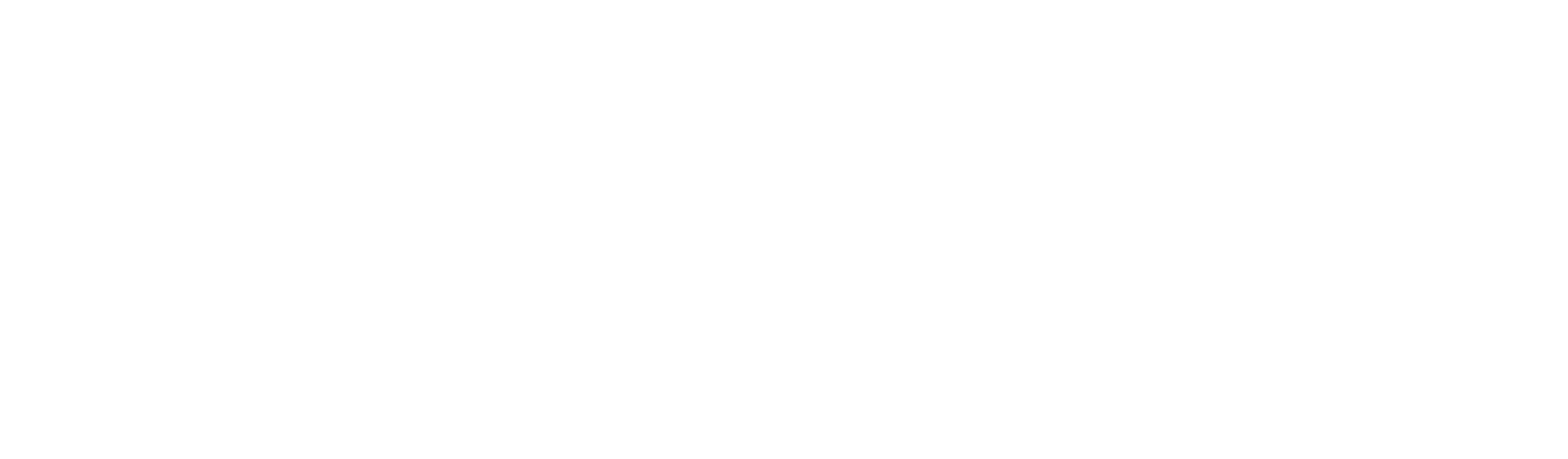 evrfx_lg_rgb_wht_rev