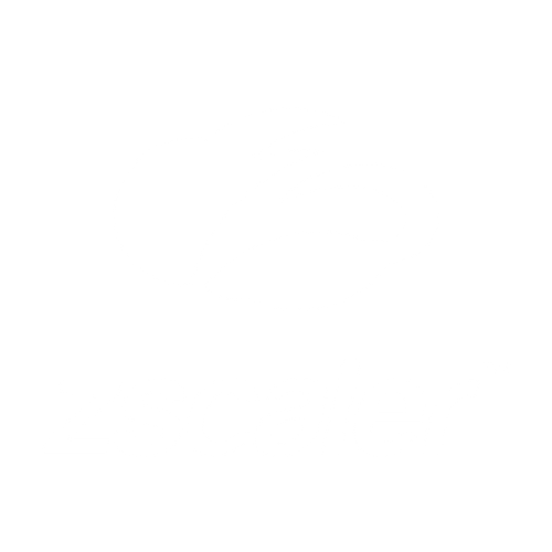 zscaler 